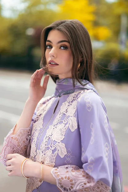 Dhanak 3PC Chikankari Embroidered With Pashmina Shawl-117