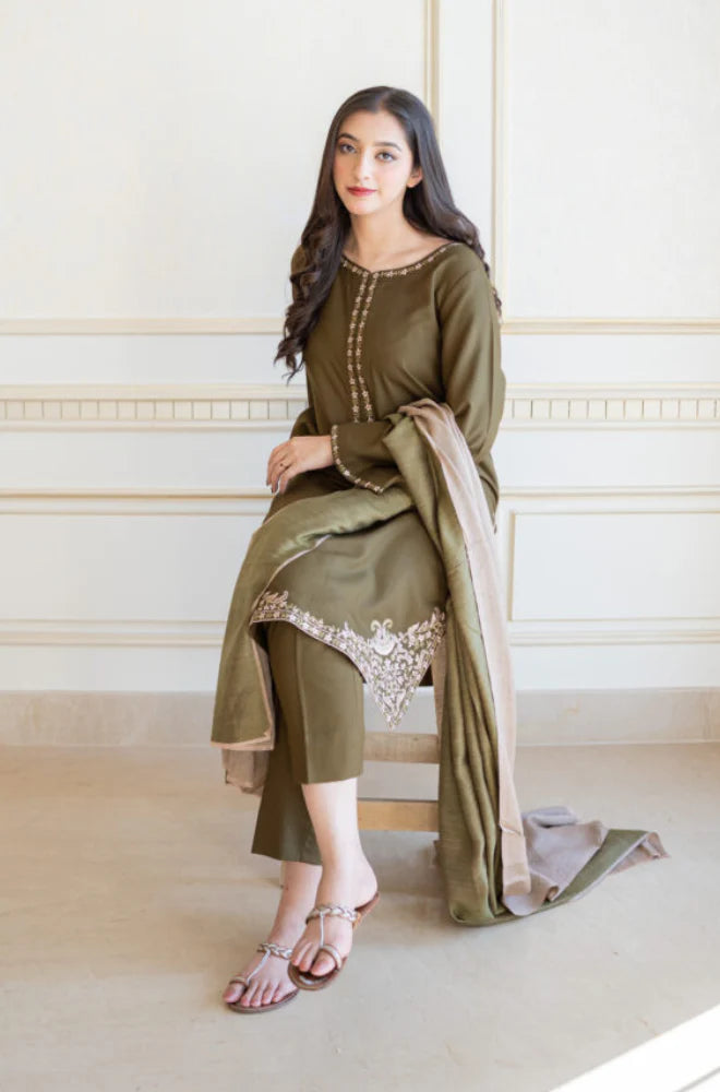 3PCS Alslin Dhanak Embroidered Winter Collection ULM-611
