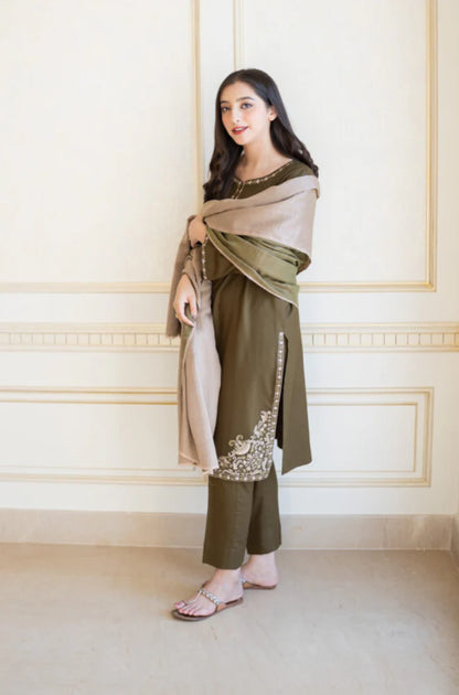 3PCS Alslin Dhanak Embroidered Winter Collection ULM-611