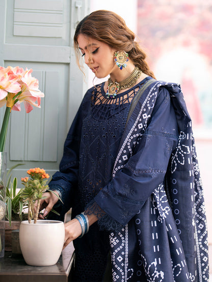 Chikankari 3PC  Dhanak Embroidered With Digital Printed Shawl-118