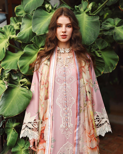 Dhanak-3PC Embroidered Shirt with Digital Printed Wool Shawl - 6384