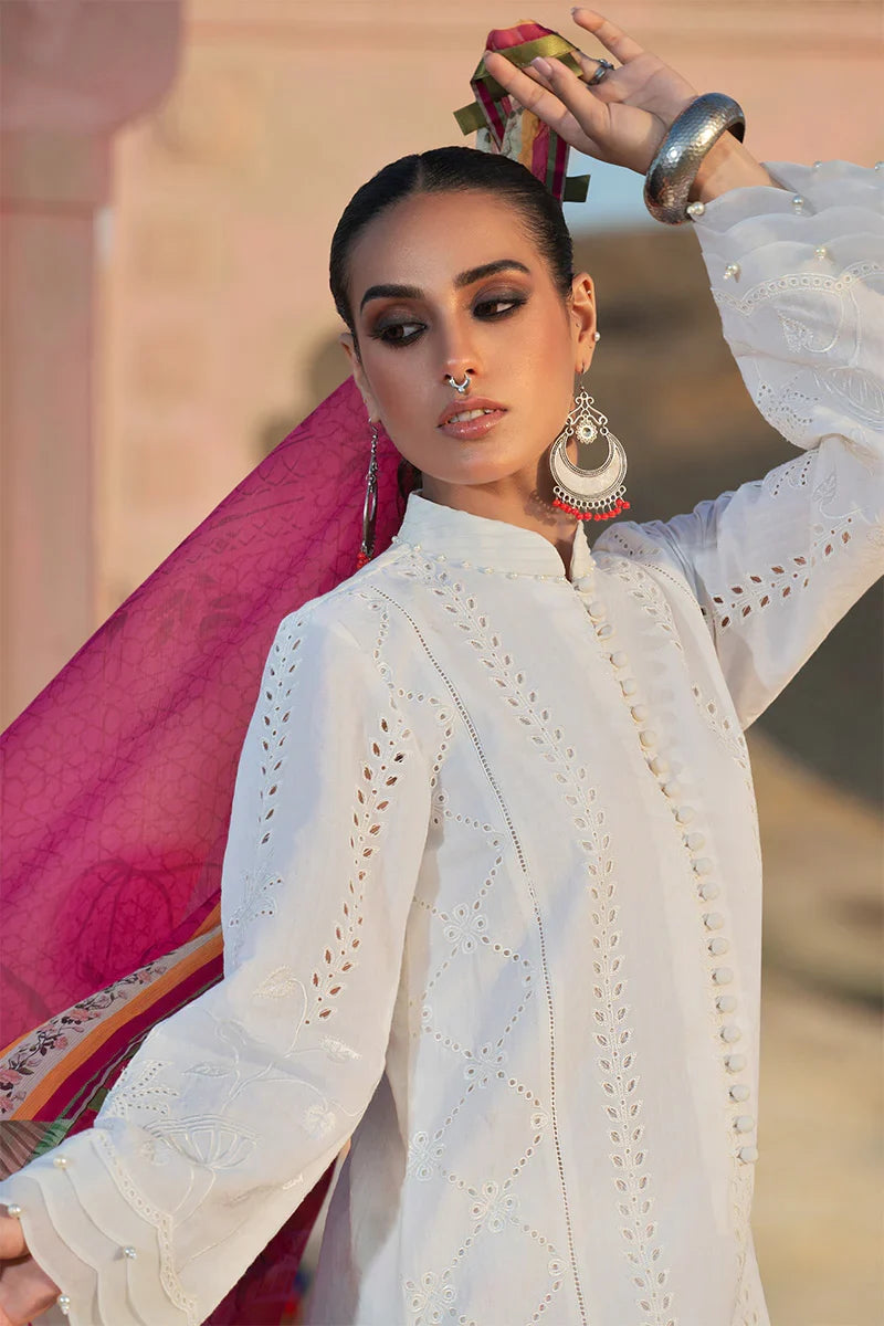 Dhanak 3PC Chikankari Embroidered With Digital Printed Shawl-104